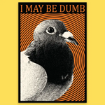 Sticker - I May Be Dumb