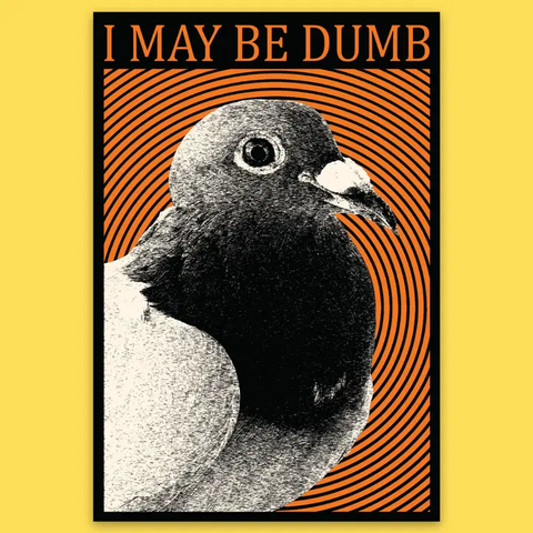 Sticker - I May Be Dumb