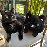 Black Cat Plush