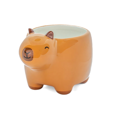 Capybara Mini Planter