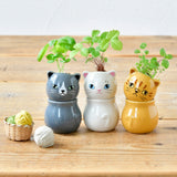 Corocoro Cat Planter