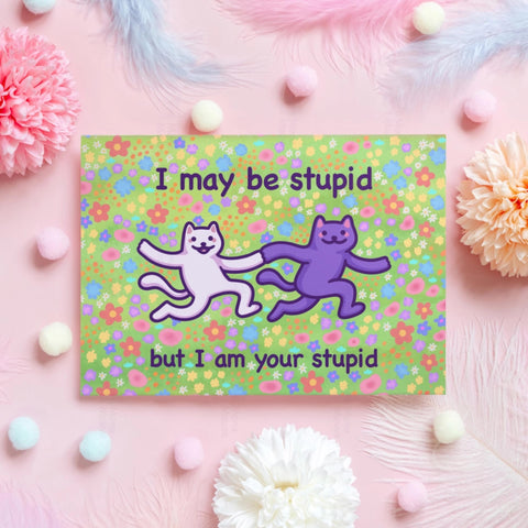 I May Be Stupid Card