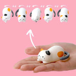 Rolling Cat Wind-Up