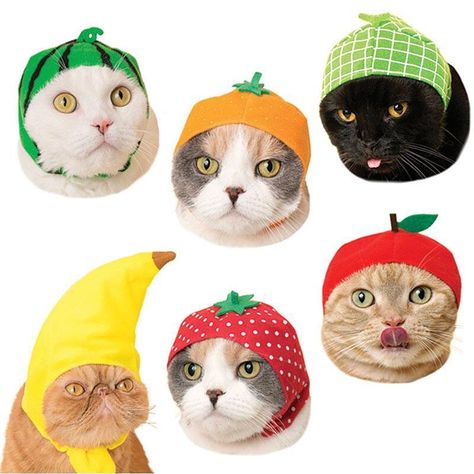 Fruit Cat Hat Blind Box