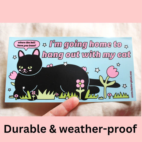 Bumper Sticker - Hang With My Cat