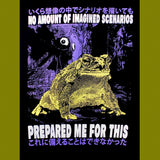 Imagined Scenarios T-Shirt