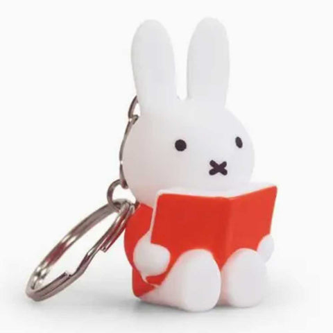 It's MIffy! – Giant Kitten