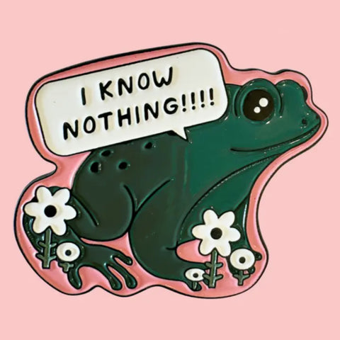 i know nothing frog enamel pin badge