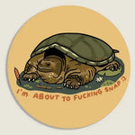 turtle sticker